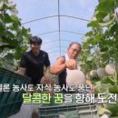 일만농장 이미지