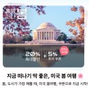 주식회사 함께하는 이웃 | 하와이 카네오헤 샌드바 한인 투어 :: 하와이 대표 액티비티 코스 일정 및 예약 후기