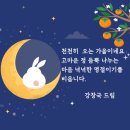 행정사 강창국 사무소 이미지