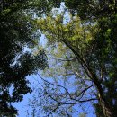 백무동야영장 이미지