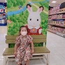 다영농장 이미지