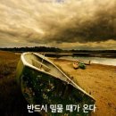밀물 이미지