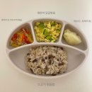 [11개월 육아] 갑자기 시작된 유아식/시작 시기/주의사항/추천 책/시판 푸드케어 유아식