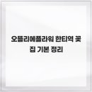 오뜰리에플라워