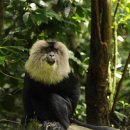 해피본 산후조리원 이미지
