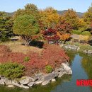 금강수목원 이미지