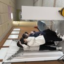 독도의 날 행사(동백고) 이미지