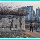 낙동강자전거길 이미지