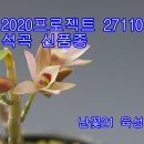 2020프로젝트 27110 석곡 신품종 유튜브 동영상 게재 이미지