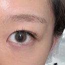 [컬러(써클)렌즈] '렌시스' 메이코랄 &amp; 에일린 그레이 솔직후기 | 훌라 없는 촉촉한 렌즈 추천