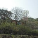 우리복사 이미지