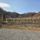 스테이노은 이미지