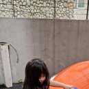 타이어테크 은평점 이미지