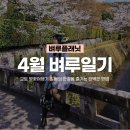 [벼루일기] 4월일기 : 벚꽃 4월 교토 여행기 &amp; 봄의 한강을 즐기는 완벽한 방법 한강소풍