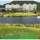 제이드리조텔 이미지