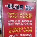 왔다산아나고 이미지