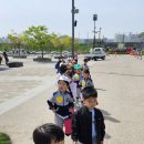 🐳❤️🧂염전으로 출발! 갯골생태공원에서 염부가 되어 놀아보아요! - 염전체험🧂❤️🐳 이미지