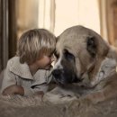 소근소근 이미지