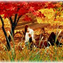 밥사랑술사랑 이미지