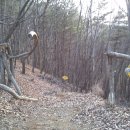 양평-용문-용문-8 이미지