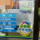 크린토피아목동6점