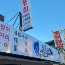 잘떳다 산오징어 - 달서구 진천동 | 잘떳다 산오징어