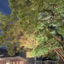 수원-0731 이미지