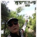 용진정사 | 용진산(용진정사~석봉~토봉~용진정사)