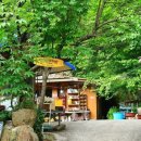 산골짜기민박