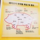 뚜삼뚜삼황금돼지갈곶점 | [오산맛집] 고기가 먹고싶을땐 갈곶동 황금돼지솥뚜껑삼겹살