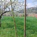 옥신농장 이미지