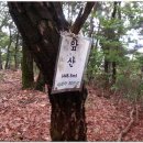한금 이미지
