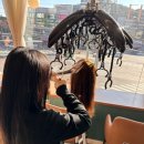 이비스헤어11
