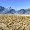 비학농원 캠핑장 이미지