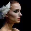 Black Swan 이미지