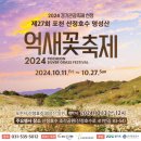 제27회 포천 산정호수 명성산 억새꽃 축제 이미지
