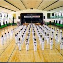 엘리트 태권도 이미지