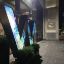W호텔 | W Toronto 호텔 토론토 캐나다 숙소 후기