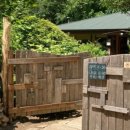 들꽃이야기 이미지