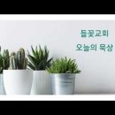 2026년 07월 07일 (화) 제목 : 초심을 잃은 왕 오늘의 말씀 : 열왕기상 9:10-28 이미지