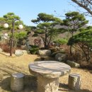 정원이 아름다운 집 이미지