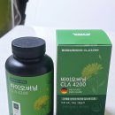 바이오환경 생활과학 입문 | 다이어트 보조제 체지방 관리용 청연소 바이오버닝 CLA 4200mg 솔직 후기