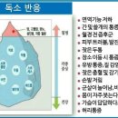 천덕식품