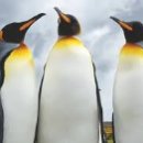 하늘땅바다친구 이미지