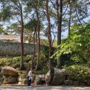 고봉숯불갈비 이미지