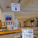 현대파크 | 현대홈쇼핑 웰리힐리파크 3인 패키지 후기! 스탠다드 B형 객실 컨디션, 구비 비품 총정리