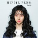 하움헤어