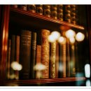 알아두면 유용한 생활 속 법률상식 이미지