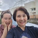 협재해수욕장. 금능해수욕장 순똥어멍 이미지