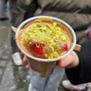 월드EP무역 | 뉴욕 3박 4일 여행기 (feat. 닭장 숙소 + 미친 물가)